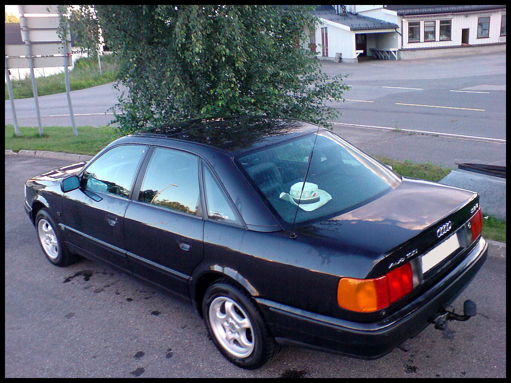 Audi 100 1991
