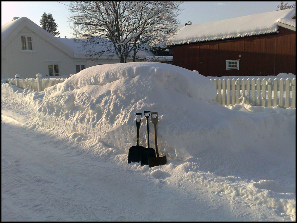Audi 100 2.2 cs quattro