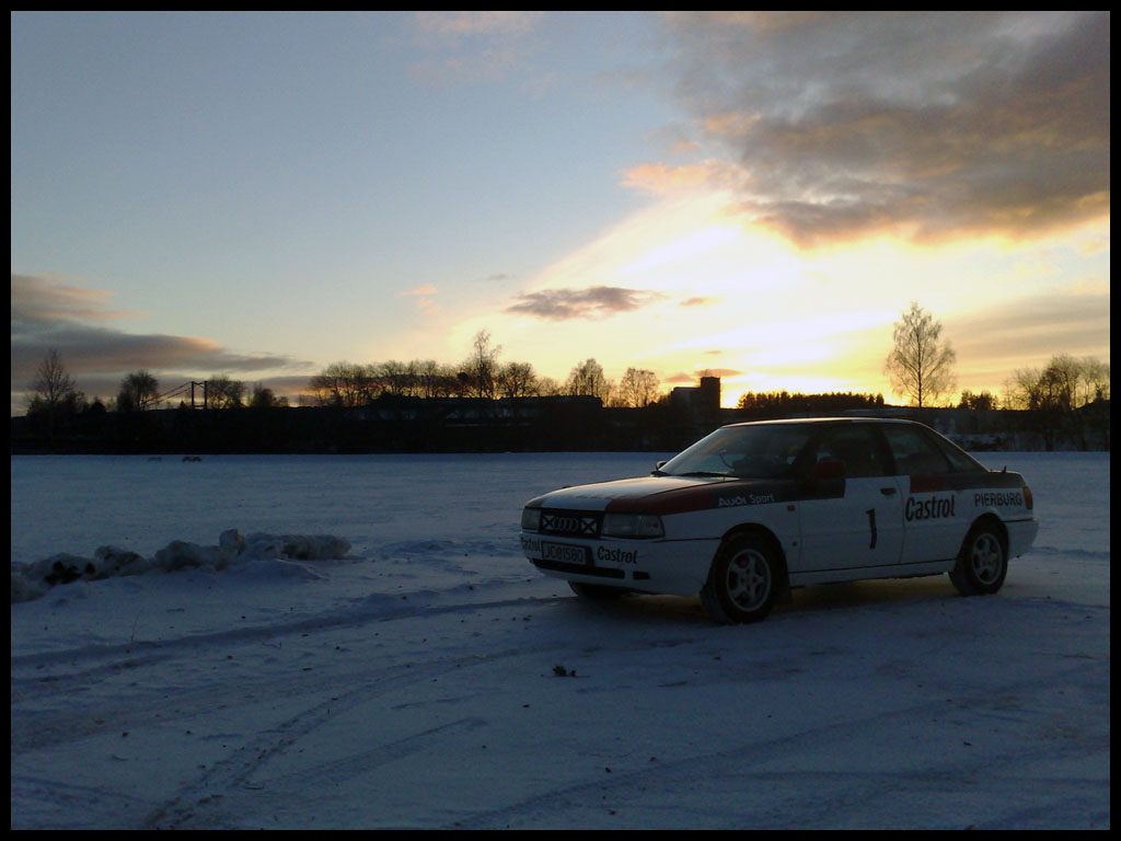 Audi 80 Rally