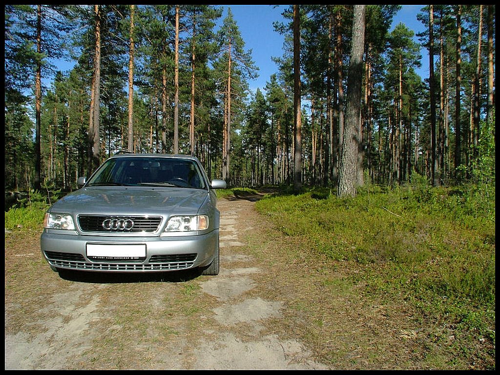 Audi S6