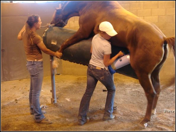 Ikke klag p jobben din!