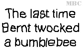 bumblebee.gif (202944 bytes)